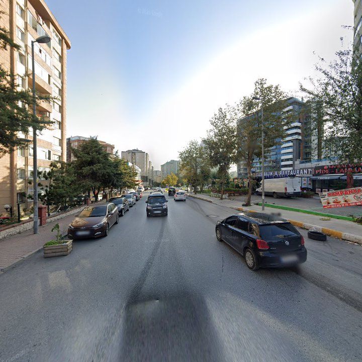Fotoğraf 11
