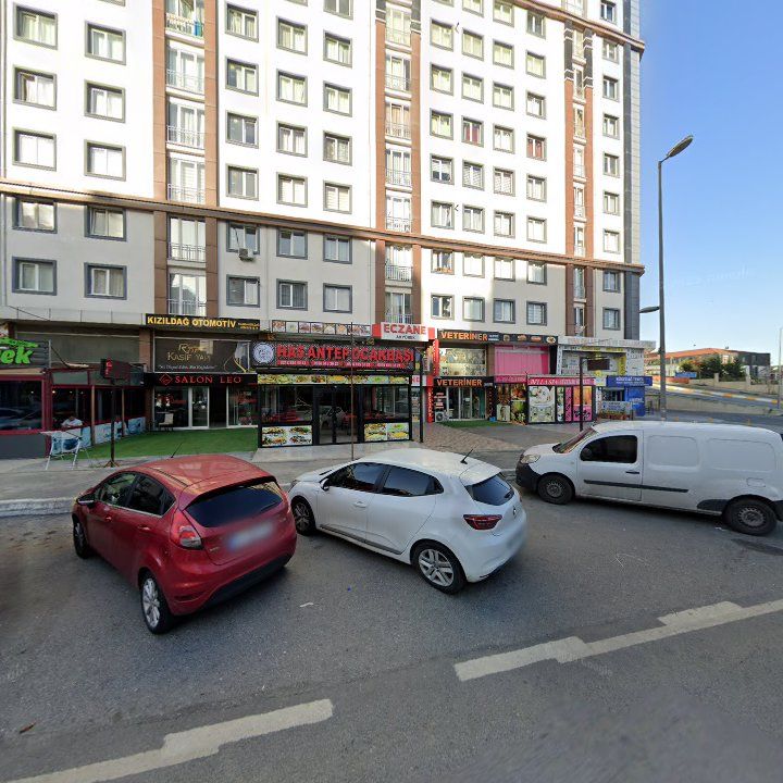 Fotoğraf 10