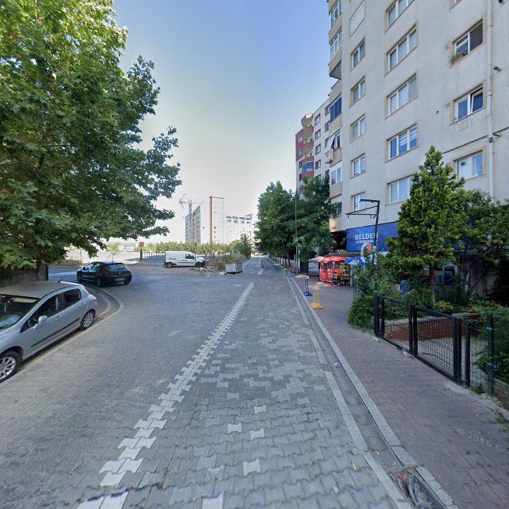 Fotoğraf 11
