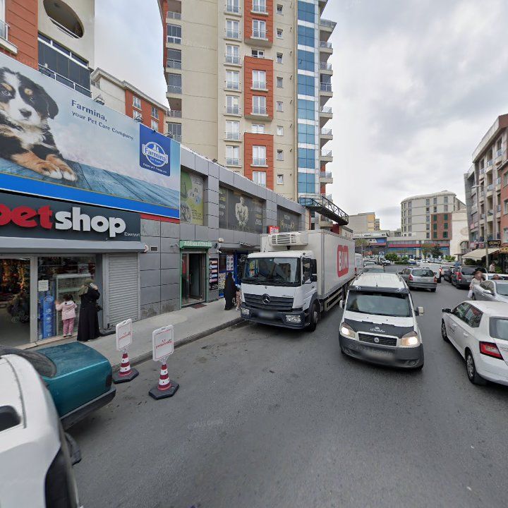 Fotoğraf 9