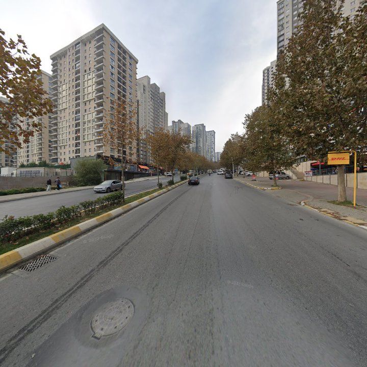 Fotoğraf 12
