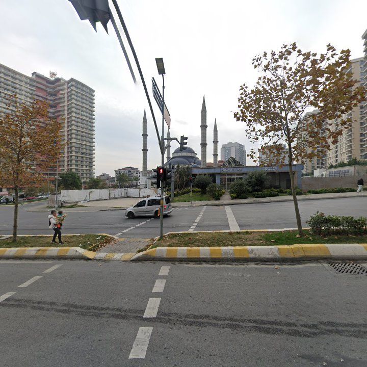Fotoğraf 11