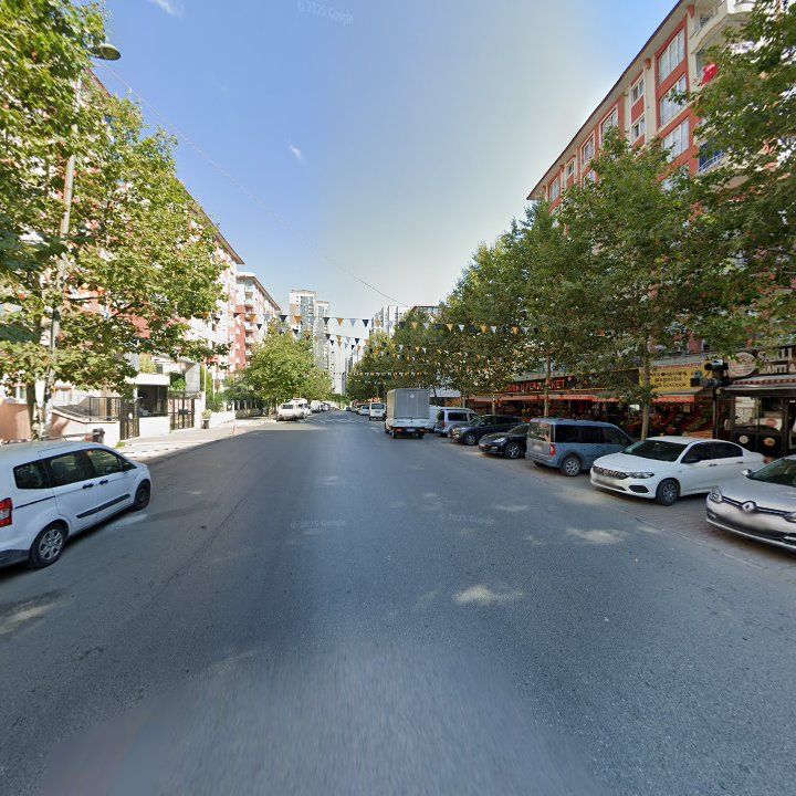 Fotoğraf 11