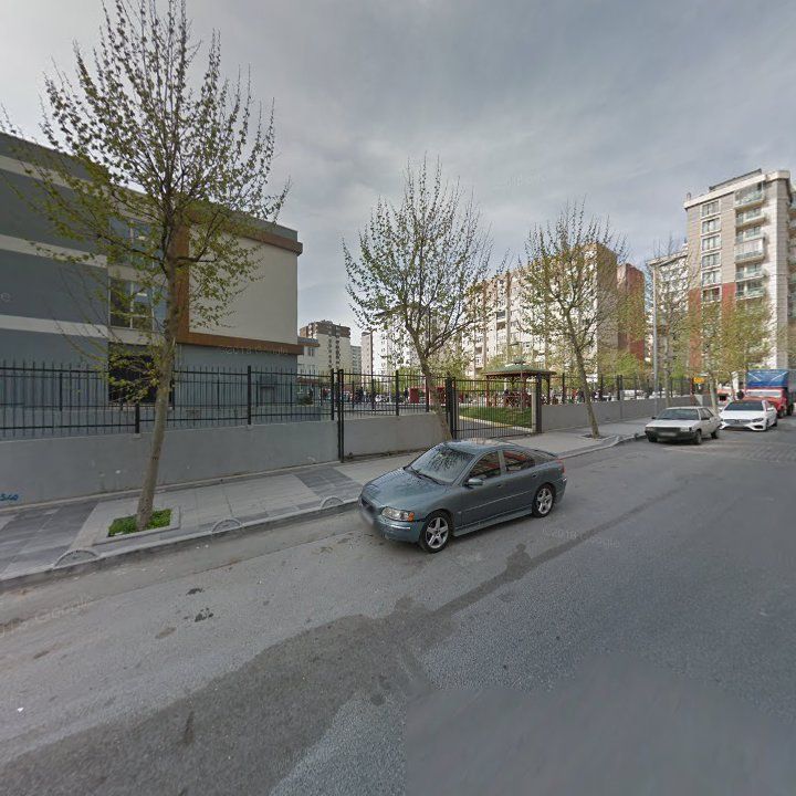 Fotoğraf 10