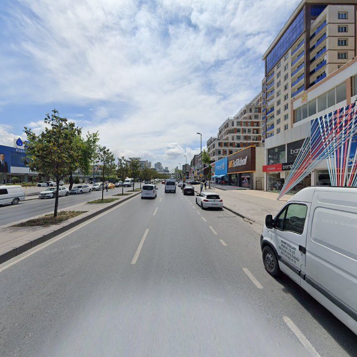 Fotoğraf 11