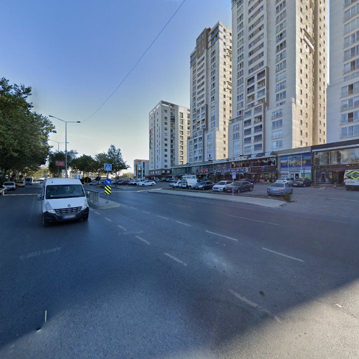 Fotoğraf 10
