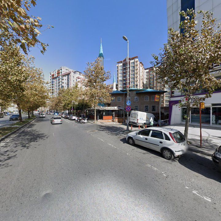 Fotoğraf 10