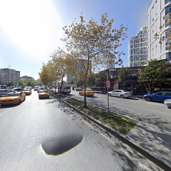 Fotoğraf 12
