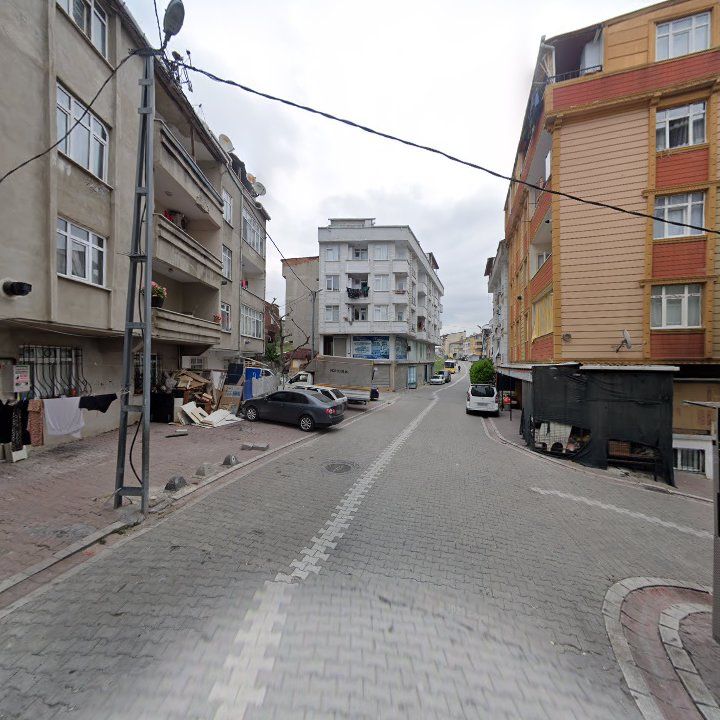 Fotoğraf 8