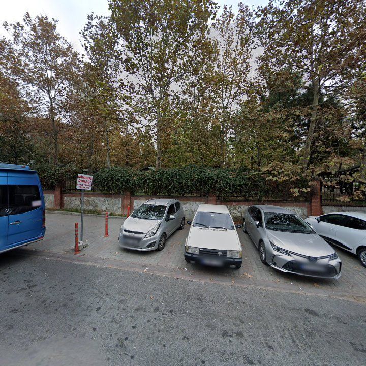 Fotoğraf 8