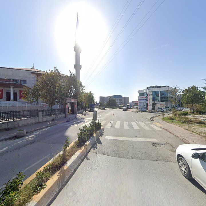 Fotoğraf 9