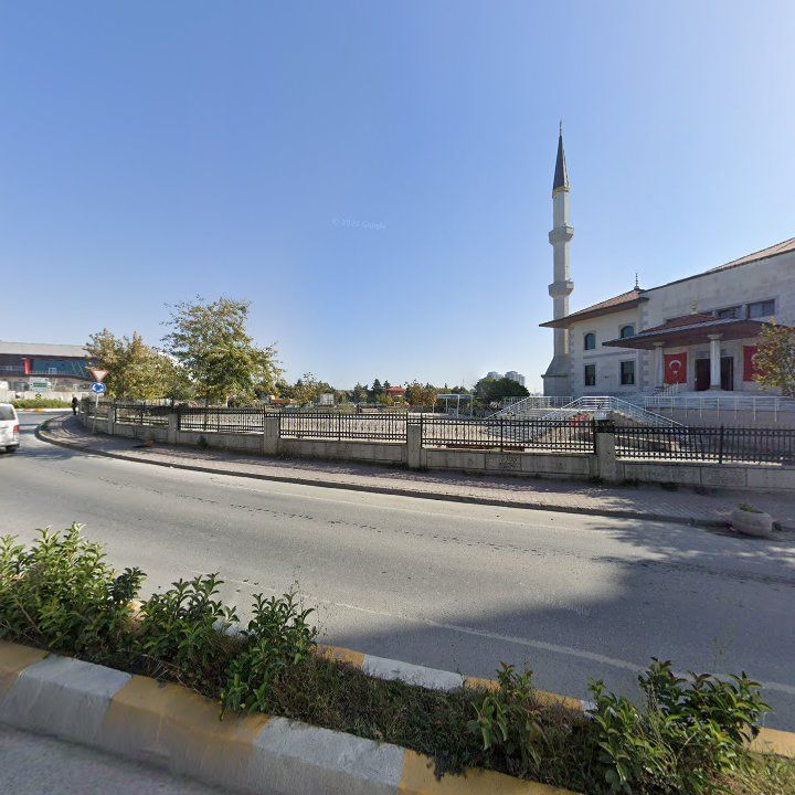 Fotoğraf 8