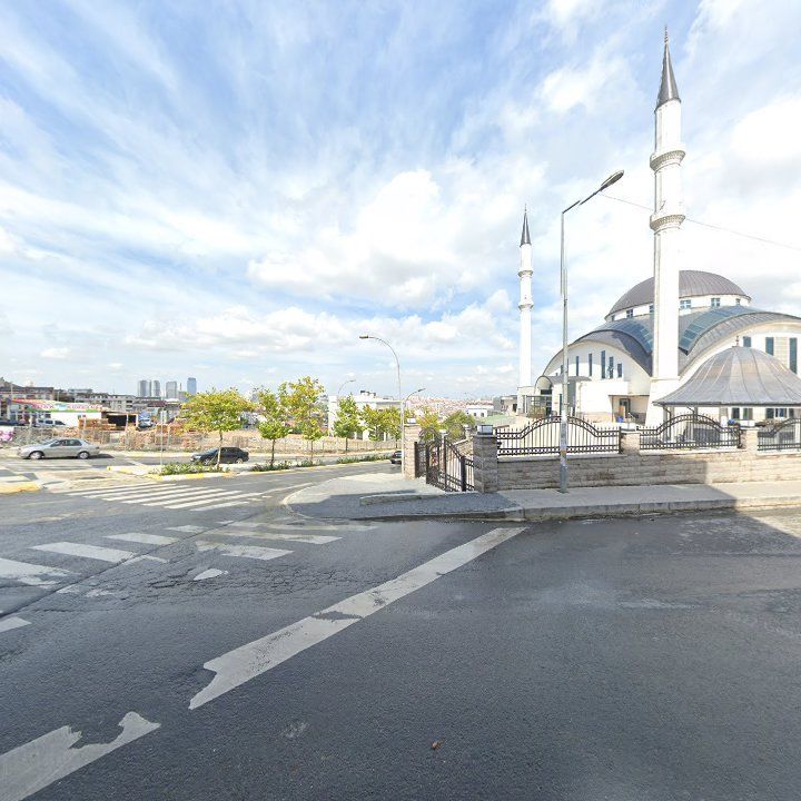 Fotoğraf 7
