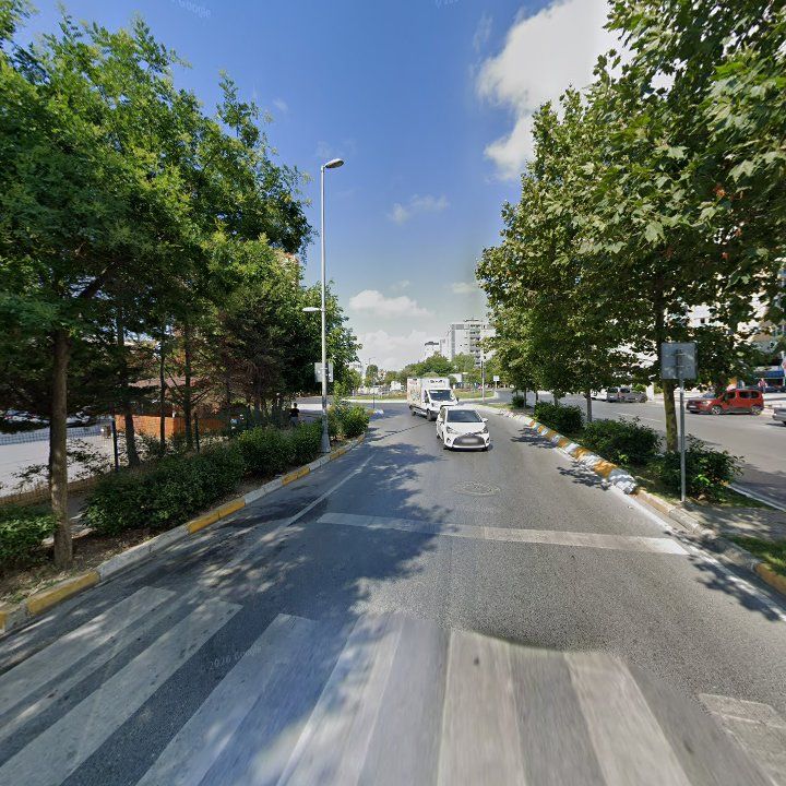 Fotoğraf 15