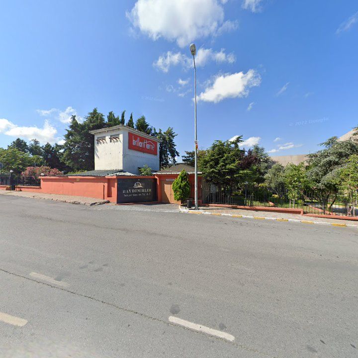 Fotoğraf 11