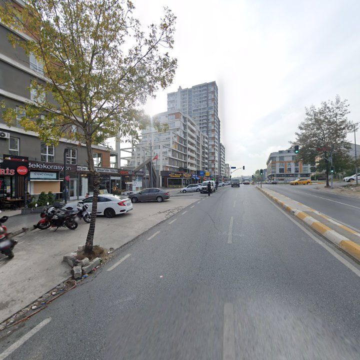 Fotoğraf 10