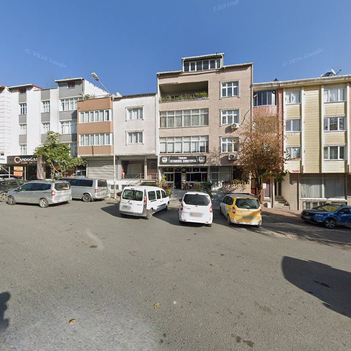 Fotoğraf 11