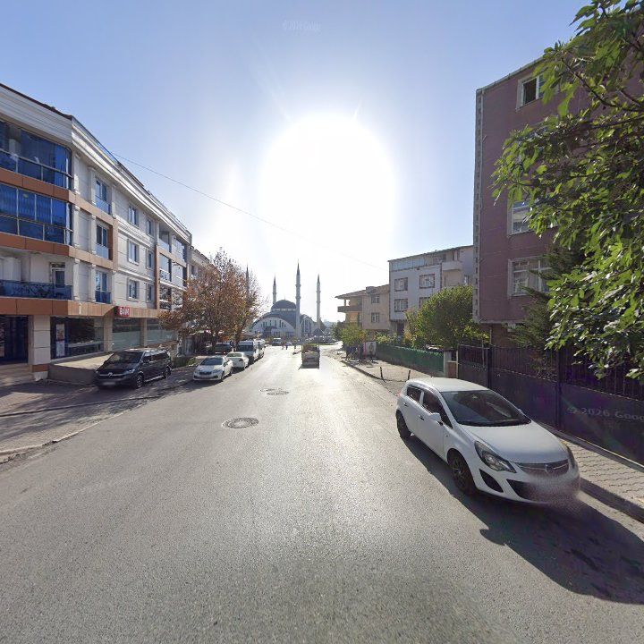 Fotoğraf 7