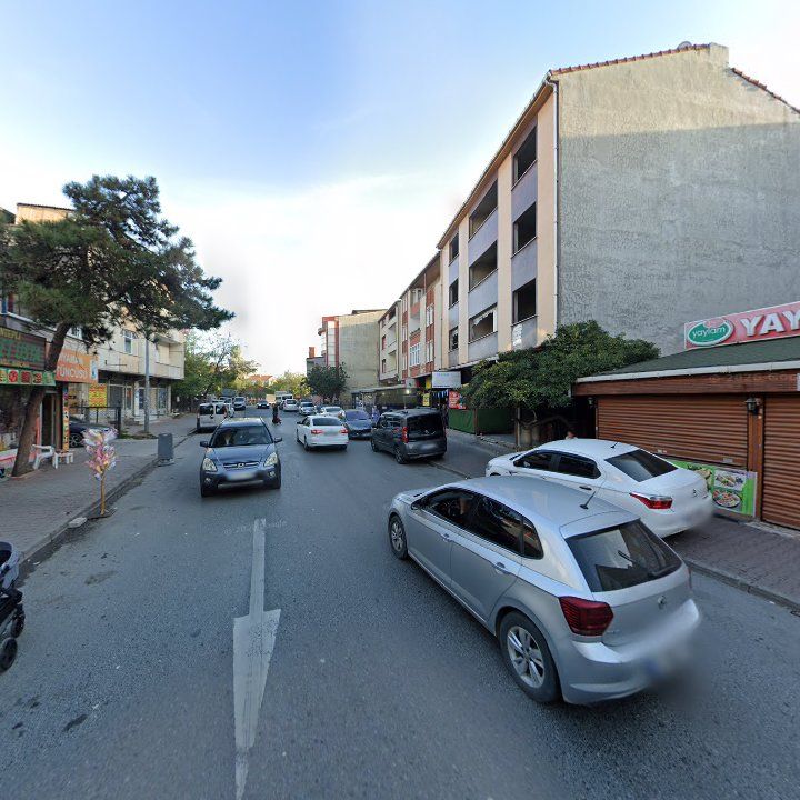 Fotoğraf 7