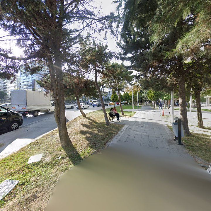 Fotoğraf 9