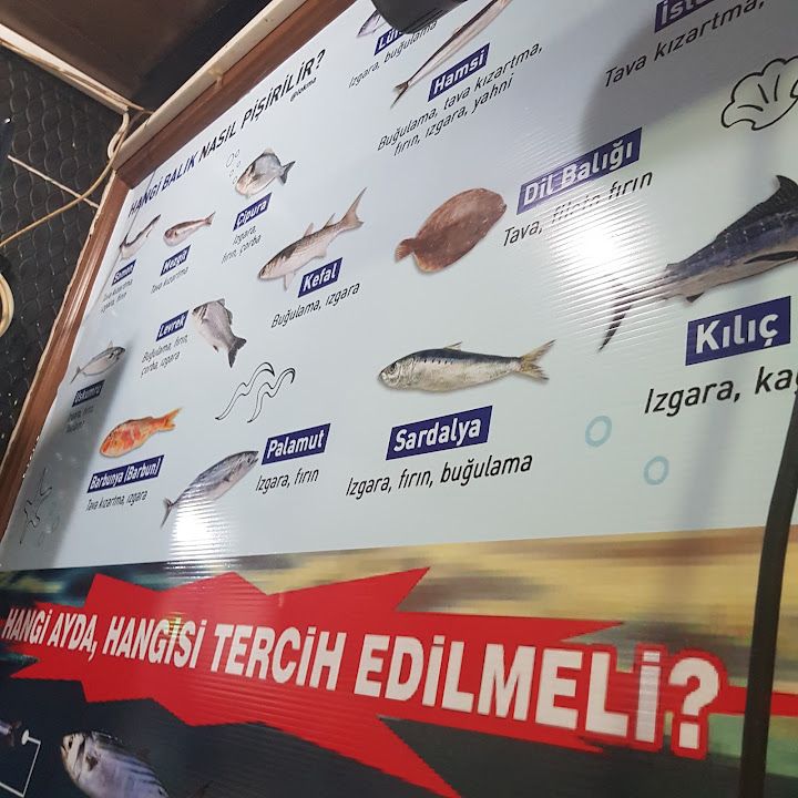 Fotoğraf 19