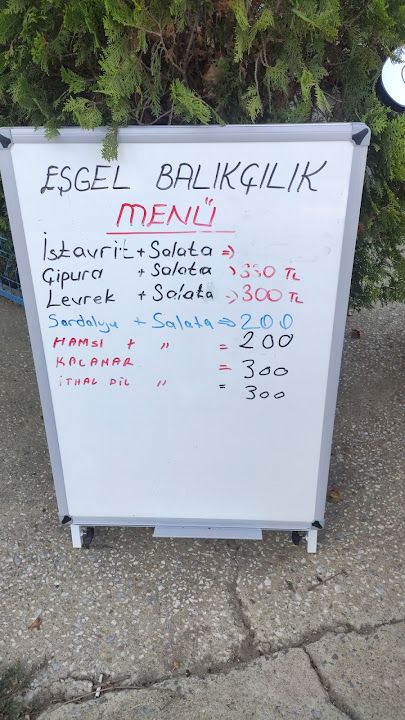 Fotoğraf 18