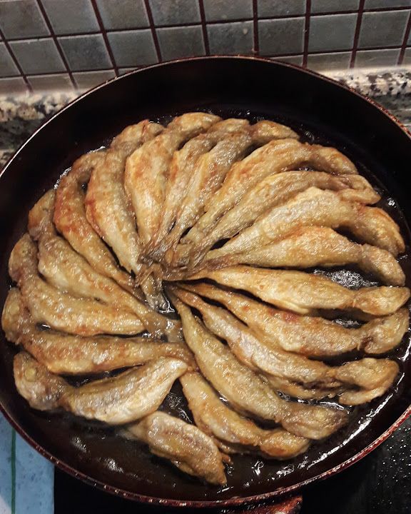 Fotoğraf 23