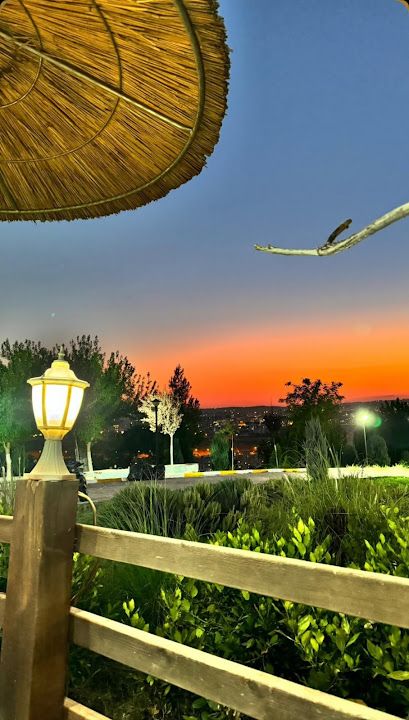 Fotoğraf 16