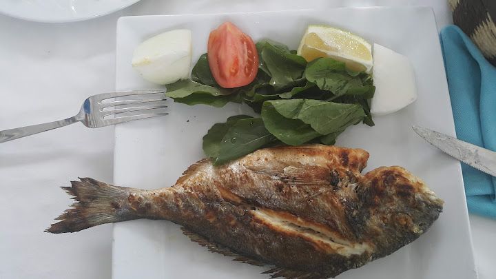 Fotoğraf 37