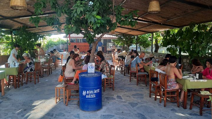 Fotoğraf 49
