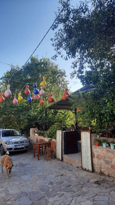 Fotoğraf 29