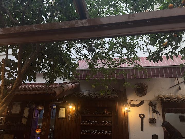 Yorum fotoğrafı 3