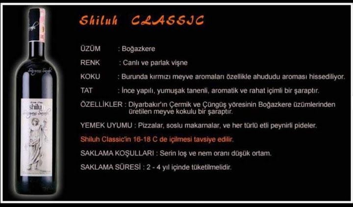 Fotoğraf 23