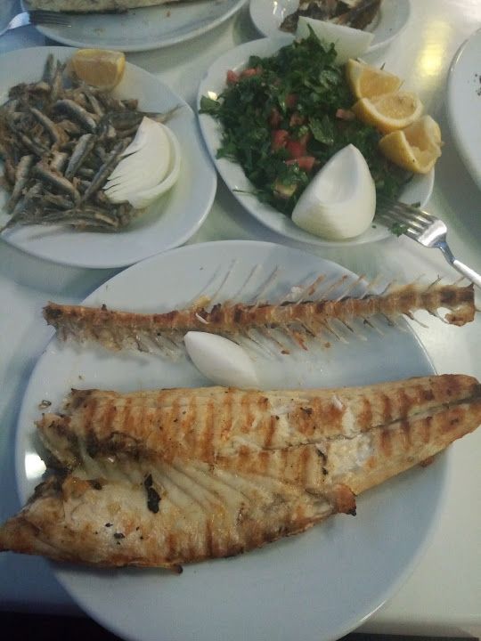 Fotoğraf 33