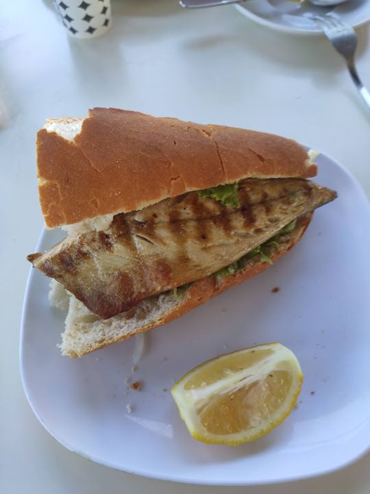 Fotoğraf 26