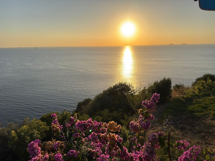Fotoğraf 39