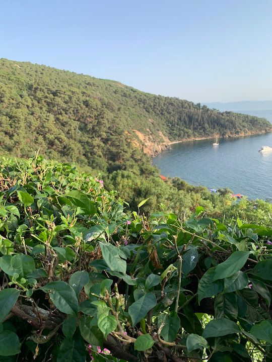 Fotoğraf 66