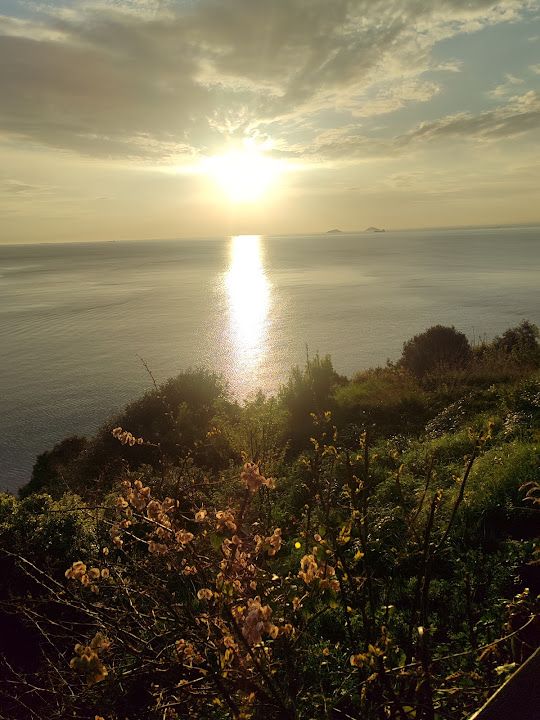 Fotoğraf 72