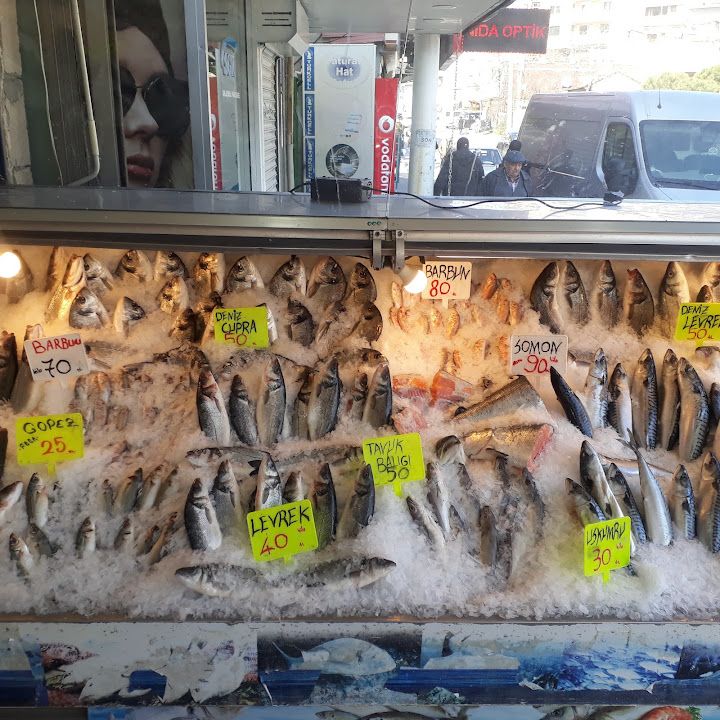 Fotoğraf 13