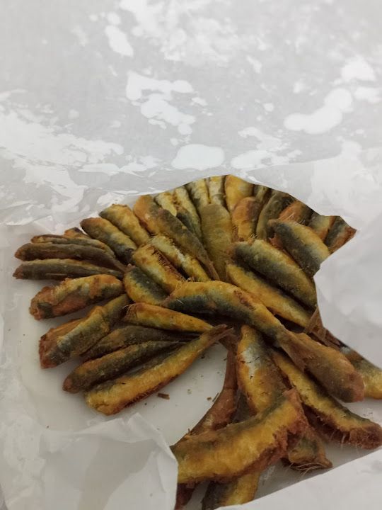 Fotoğraf 12