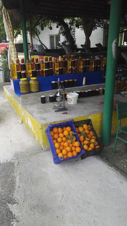 Fotoğraf 37