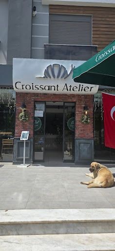 Yorum fotoğrafı 9