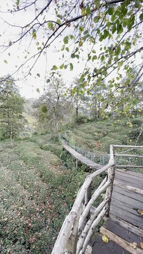 Fotoğraf 21