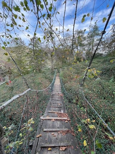 Fotoğraf 25