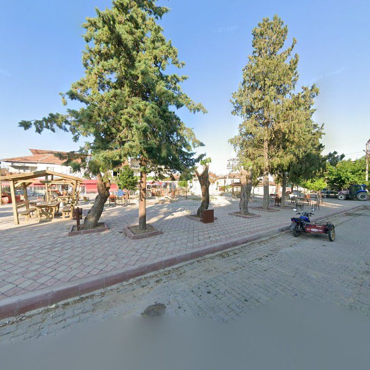 Fotoğraf 5