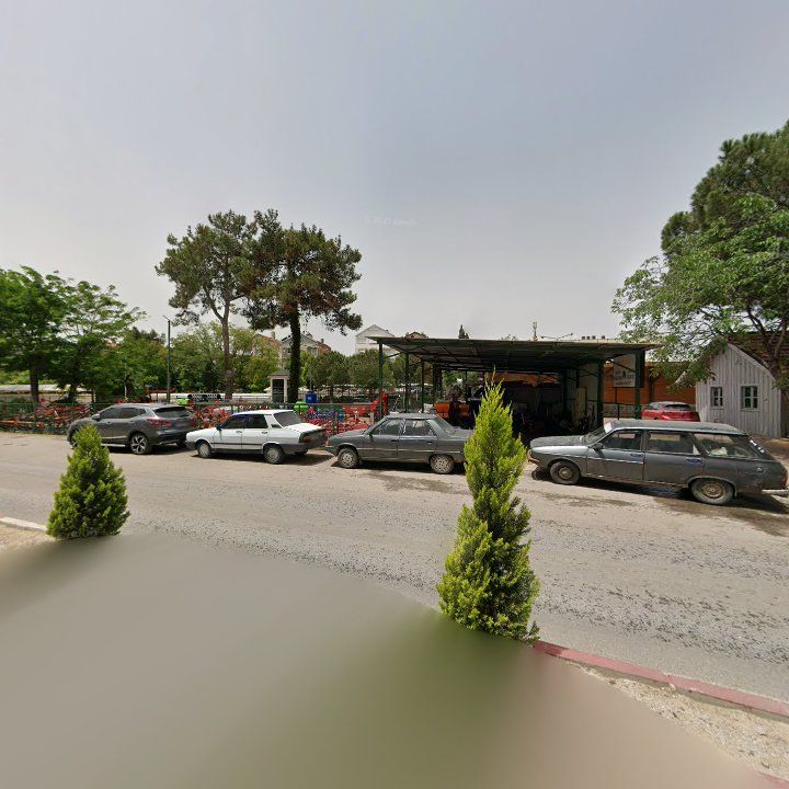 Fotoğraf 3