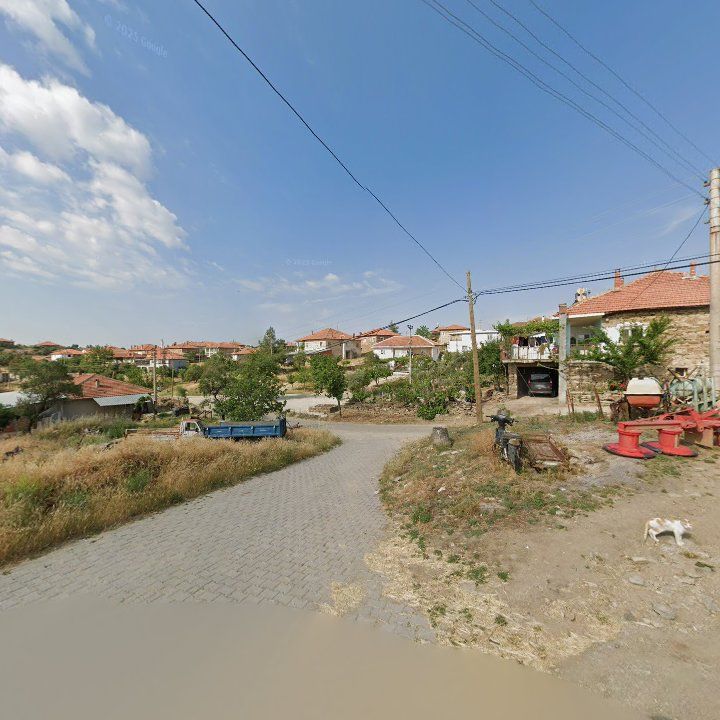 Fotoğraf 4