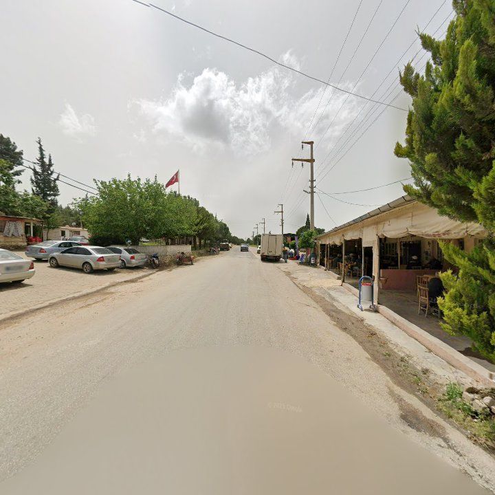 Fotoğraf 5