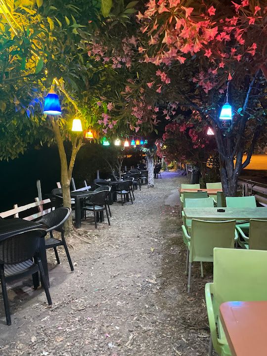 Gülburnu Aile Çay Bahçesi kokoreçi yalçın usta