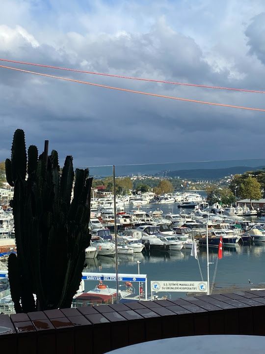 Yorum fotoğrafı 3